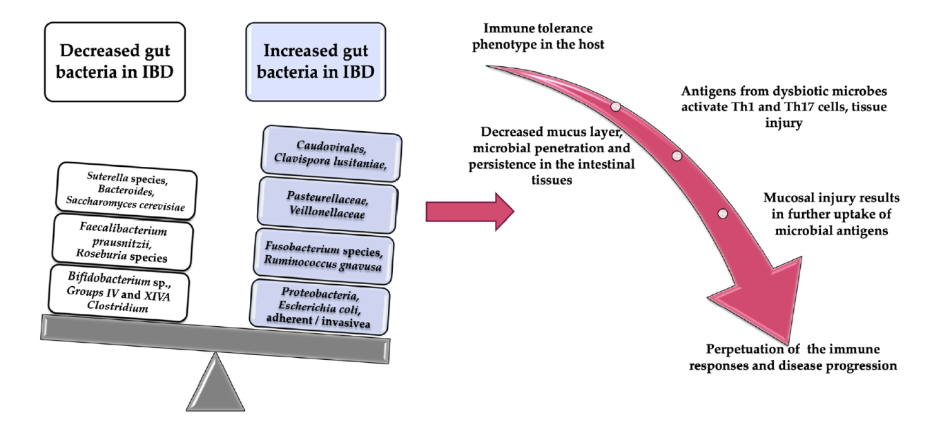Highlighting the Relevance of Gut Microbiota Manipulation in Inflammatory Bowel Disease-gutmicrobiotaforhealth.ir