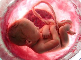بارداری و تاثیر آن بر میکروبیوم روده نوزاد
