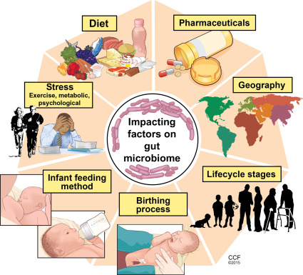 ?what Is The Microbiome 