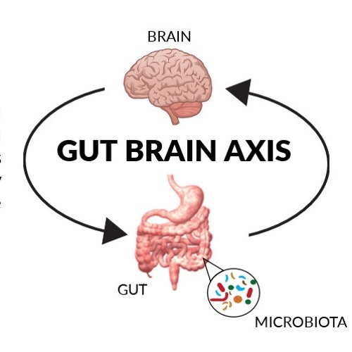 mental health and gut microbiota