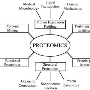 Types-of-proteomics-and-their-applications-to-biology