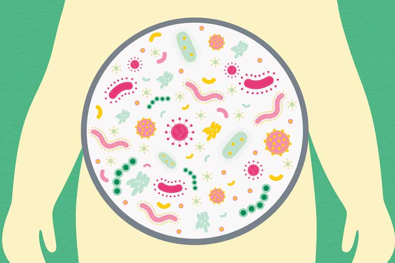 رشد میکروبیوتای روده