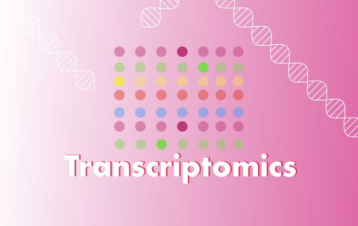 ?What is Transcriptomics