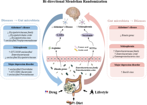 Serotonin within the microbiota-gut-brain axis in Alzheimer’s disease