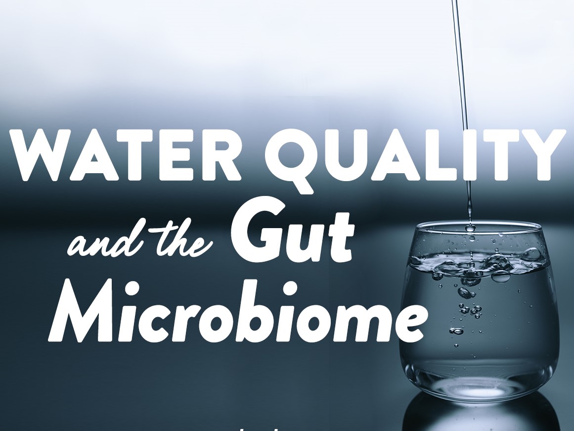 Water and gut microbiota diversity