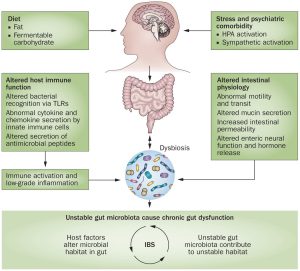 The association of gut microbiota with irritable bowel syndrome