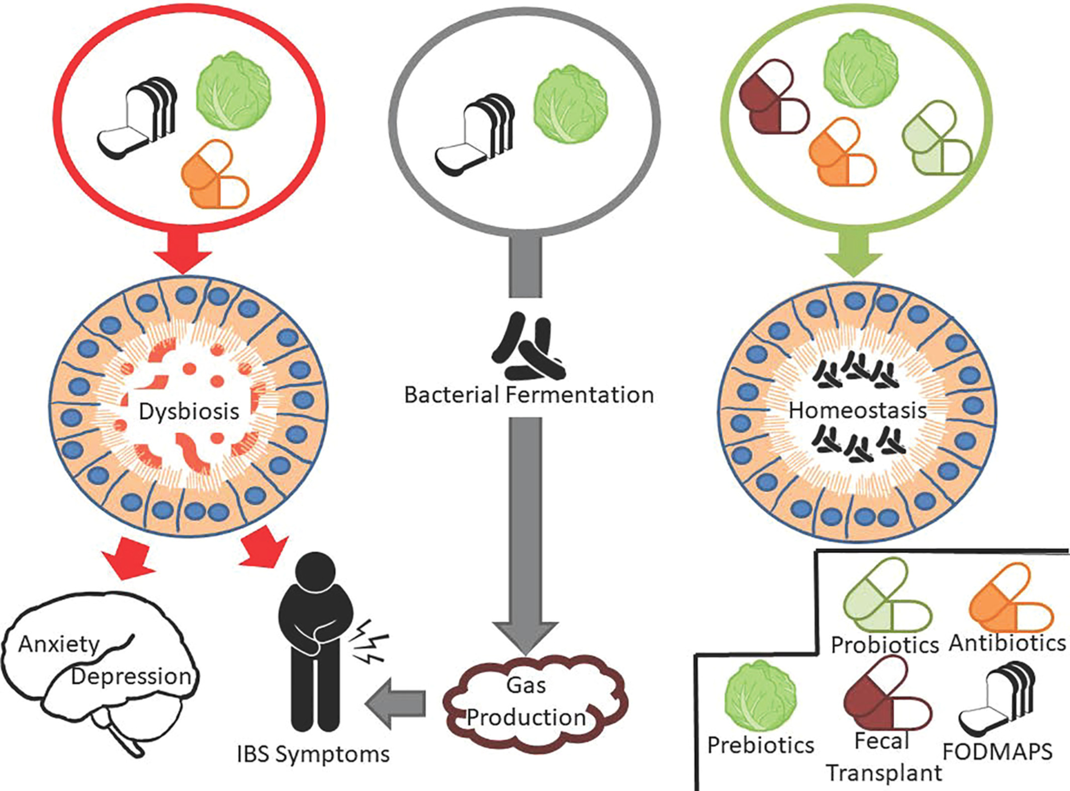 عنوان % عنوان | gutmicrobiotaforhealth