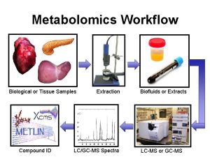 The Metabolomics Workflow. Metabolomics for Investigating Physiological and Pathophysiological Processes