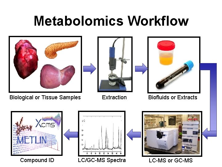 ?What is Metabolomics | gutmicrobiotaforhealth