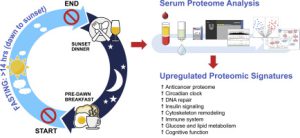 Intermittent fasting from dawn to sunset for 30 consecutive days is associated with anticancer proteomic signature and upregulates key regulatory proteins of glucose and lipid metabolism, circadian clock, DNA repair, cytoskeleton remodeling, immune system and cognitive function in healthy subjects