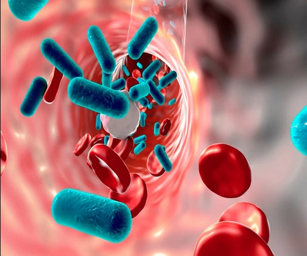 آیا تجویز همزمان آنتی بیوتیک با پروبیوتیک ها در عفونت میکروبی توصیه می شود؟