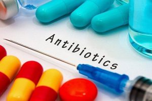 آیا تجویز همزمان آنتی بیوتیک با پروبیوتیک ها در عفونت میکروبی توصیه می شود؟