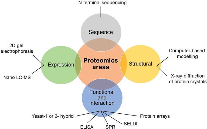 Understanding Proteomics: A Comprehensive Overview | gutmicrobiotaforhealth